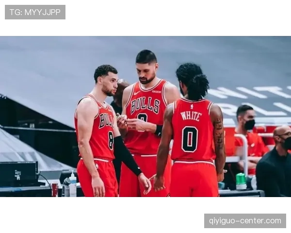 武切维奇低位单打效率提升，改变公牛进攻结构